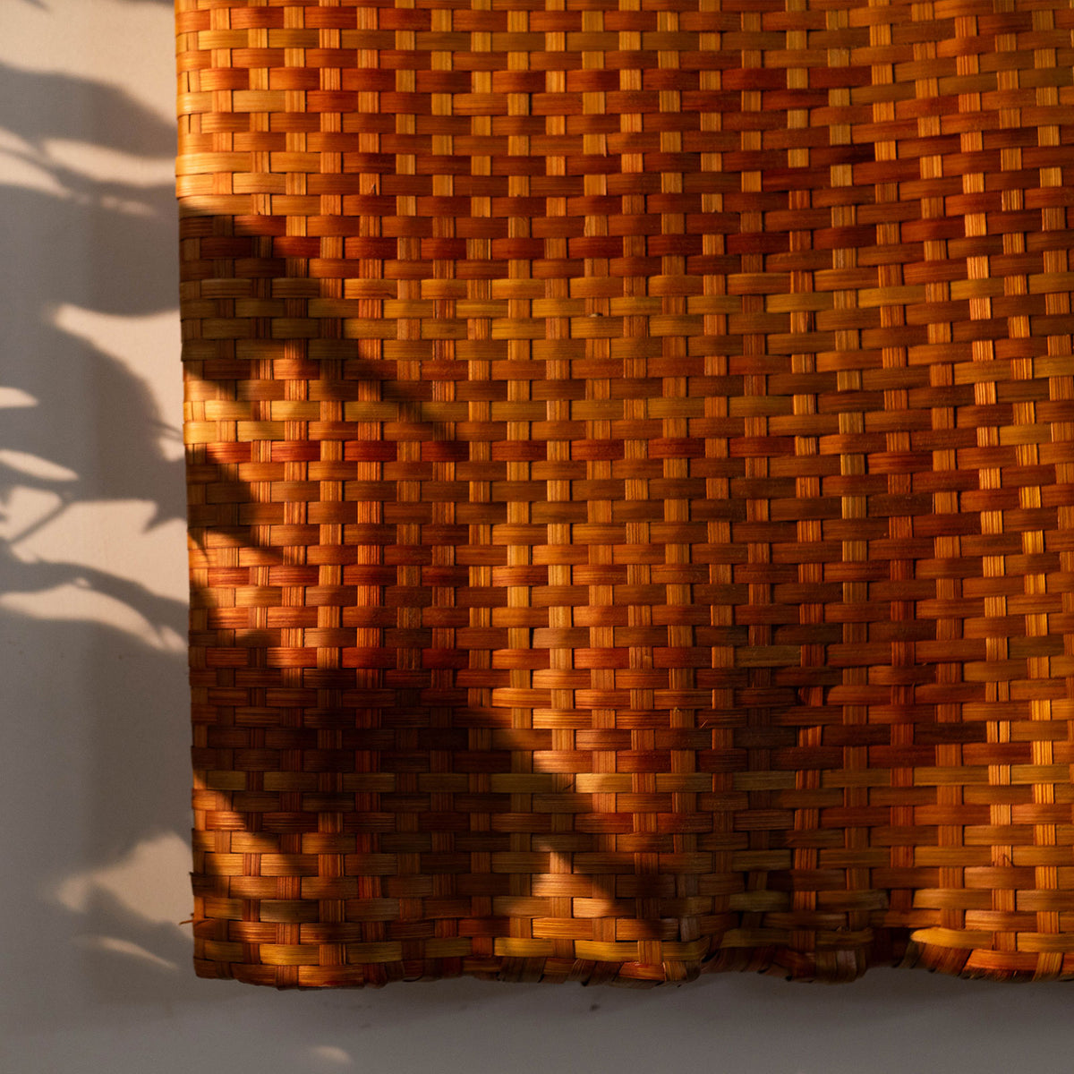 Curl Series Sunset Wall Art